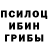 Галлюциногенные грибы Psilocybe di tnikov
