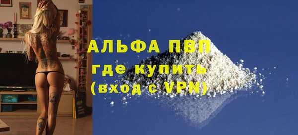 СК Козельск