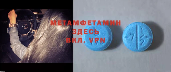 индика Абаза