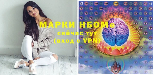индика Абаза