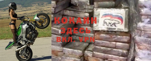 индика Абаза