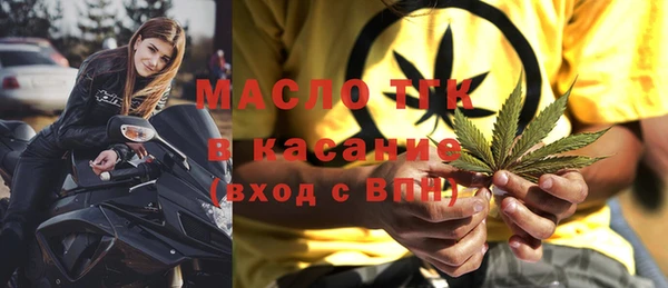 индика Абаза