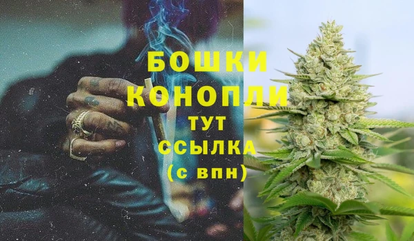 ALPHA PVP Алексеевка