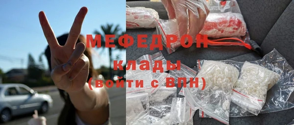 индика Абаза