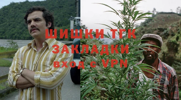 индика Абаза