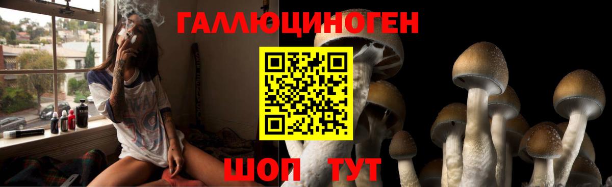 Карасук  Галлюциногенные грибы Psilocybine cubensis  Вход с VPN 